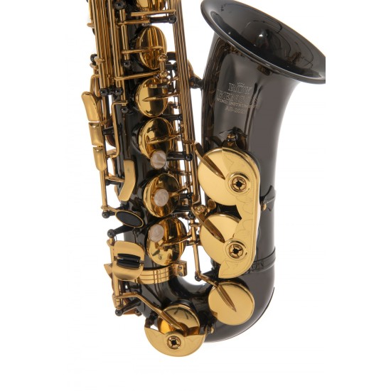 Roy Benson AS-202K Alto Saksafon