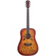 Washburn Deep Forest Burl Amber Fade Akustik Gitar