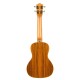Lanikai SPST-C Spruce Concert Ukulele Lanikai SPST-C Spruce Concert Ukulele