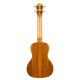 Lanikai SPST-C Spruce Concert Ukulele